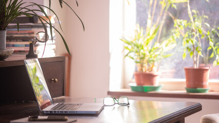 Home office with laptop, glasses on a wooden desk and plants, zoom background