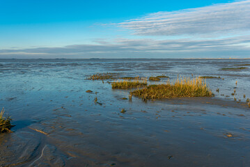Natural beach at the shore of the Wadden sea, located at the small municipality of Hilgenriedersiel who is known as the only natural bathing place on the East Frisian North Sea coast