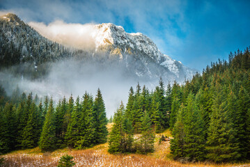 Fototapeta Dolina Kościeliska - jesień, zima obraz