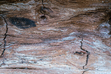 Fototapeta premium tło ze spękanego drewna naturalnego w kolorze brązowym