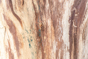 Fototapeta premium naturalne stare drewno jako tło