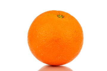 One unpeeled orange, macro, isolated on white background.