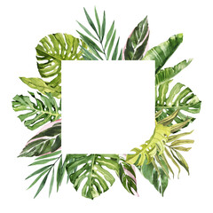 Watercolor hand drawn rainforest tropical leaves bouquet frame template. Botanical illustration card isolated on white background. Hand painted watercolor floral clip art
