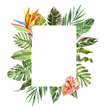 Watercolor hand drawn rainforest tropical flowers and leaves bouquet square frame template. Botanical illustration card isolated on white background. Hand painted watercolor floral clip art