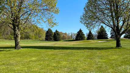 Plakat golf green in the spring