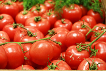 fresh tomato with water drop close up 