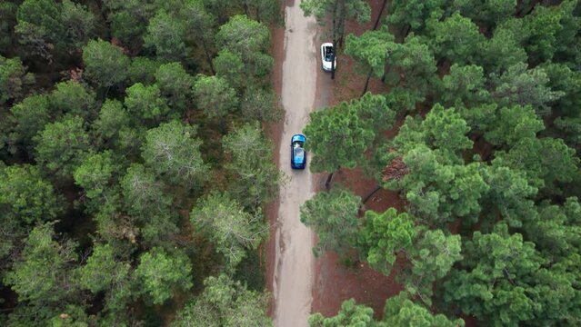 Blue car driving on forest road. Top view. Drone shot. Car driving through dense green forest.