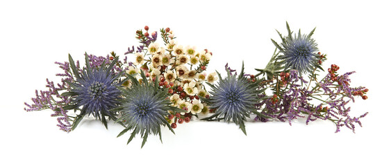 Flowers  Mediterranean sea holly, Limonium safora and Waxflowers isolated on white background. Border of Blue sea holly thistles, Eryngium bourgatii and Darwinia uncinata, Chamelaucium uncinatum.