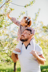 Dad plays and rolls on the shoulders his little daughter in a spring garden.