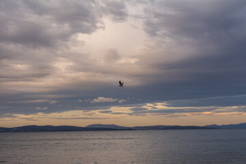 Fototapeta na wymiar sunset in Hobart Kingston beach with dramatic sky