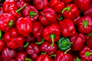 Plakat Closeup of ripe red and green bell peppers on the farmer's market