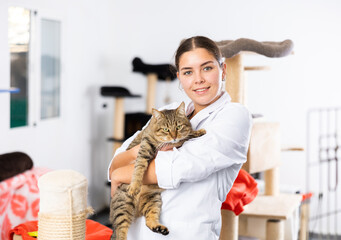 Smiling young female worker at shelter for abandoned pets standing with calm gray male cat in arms..