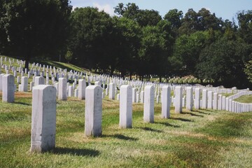 american war cemetery