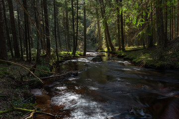 A small forest stream with sandstone outcrops