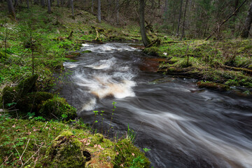 A small forest stream with sandstone outcrops