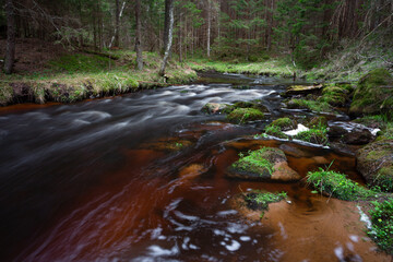 A small forest stream with sandstone outcrops, ligatne