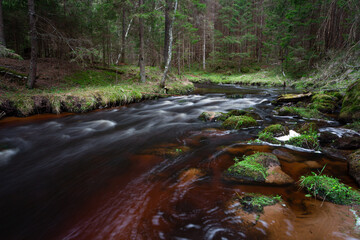 A small forest stream with sandstone outcrops, ligatne