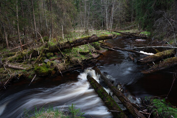 A small forest stream with sandstone outcrops, ligatne