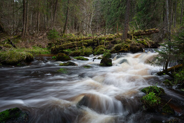 A small forest stream with sandstone outcrops, ligatne