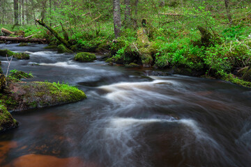 A small forest stream with sandstone outcrops, ligatne