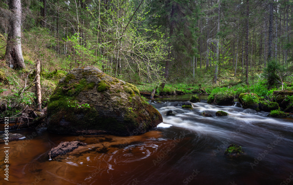 Canvas Prints A small forest stream with sandstone outcrops, ligatne