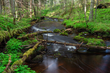 A small forest stream with sandstone outcrops, ligatne