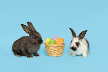 happy easter bunny on blue background. two baby rabbits with painted colored eggs basket. egg hunting