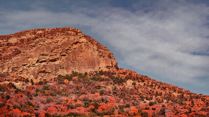 Scenic View in the Fall