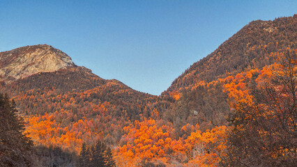Scenic View in the Fall