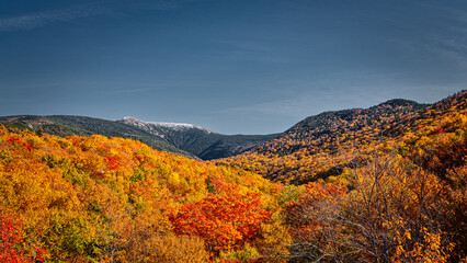 Scenic View in the Fall