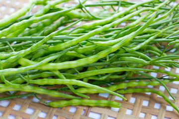 Rat-tailed radish. Fresh organic vegetables