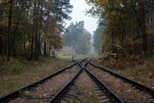 Railway fork in the morning forest