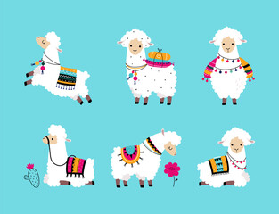 Pretty Wolly Llama or Alpaca Wearing Knitted Blanket in Different Pose on Blue Background Vector Set