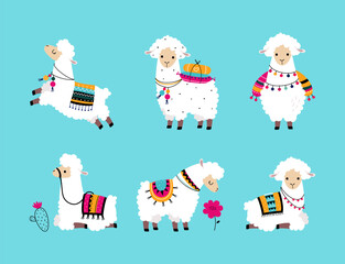Pretty Wolly Llama or Alpaca Wearing Knitted Blanket in Different Pose on Blue Background Vector Set © topvectors