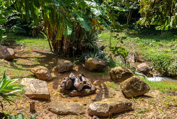 Landscape with stones forming a circle with firewood in the center, in a forest with native trees and a stream in the background, in the state of São Paulo, Brazil