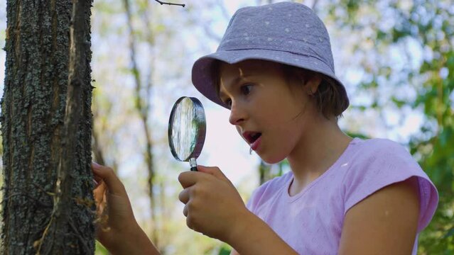 little child naturalist botanist with a magnifying glass is surprised and shocked explores the tree bark. kid with a hat in the forest and a magnifying glass wow, he discovers the insects