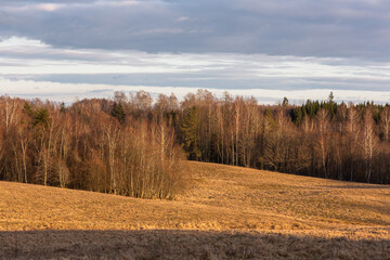 Fototapeta premium Cultivated crop fields in the spring