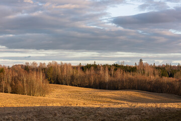 Naklejka premium Cultivated crop fields in the spring