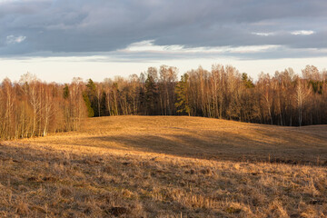 Cultivated crop fields in the spring