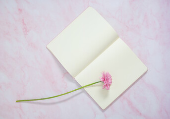 one pink gerbera and blank notebook on the table, gift for her, copy space 