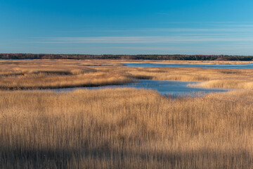 Early spring in Latvia, fields, rivers and landscapes