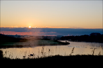 Sunrise in the golf club with mist and migration birds in a pond