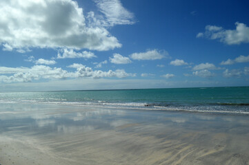 Fototapeta na wymiar Fantastic Beach, Alagoas Brazil.