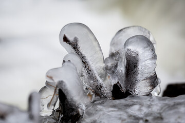 icicles in the river on branches