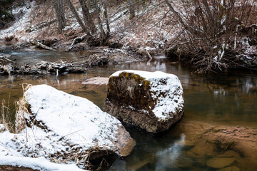 a small forest river with waterfalls and fallen trees in the river