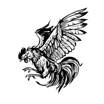 Rooster fighing, angry, hand drawn vector sketch illustration. Black on Transparent background