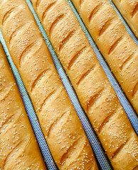 bakery, loaf, baguette