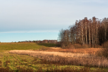 Spring in the Latvian countryside
