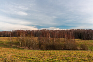 Fototapeta premium Spring in the Latvian countryside