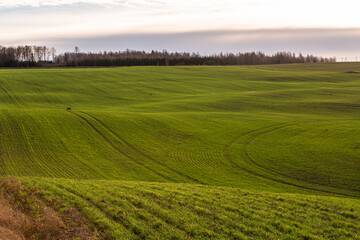 Spring in the Latvian countryside